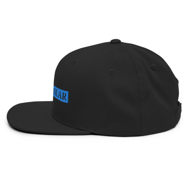 Circuit Solar - Snapback Hat