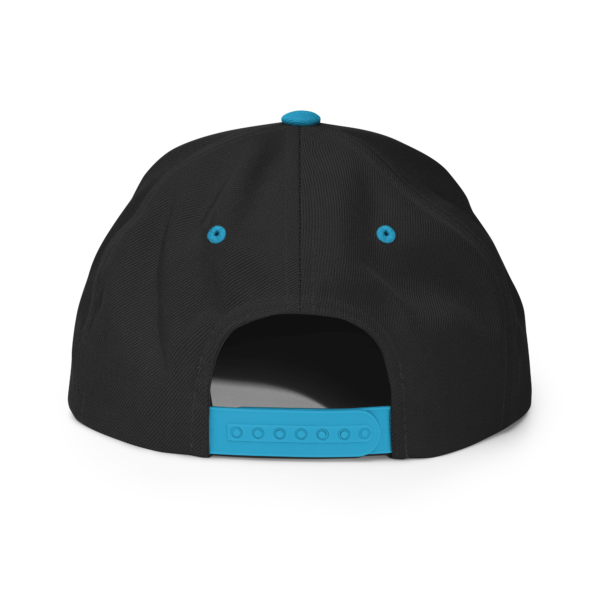 Circuit Solar - Snapback Hat