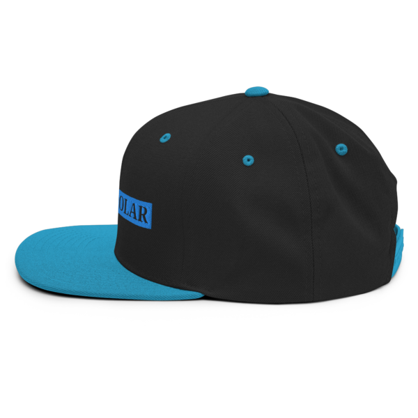 Circuit Solar - Snapback Hat