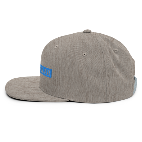 Circuit Solar - Snapback Hat